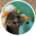 Thea Choo profile image